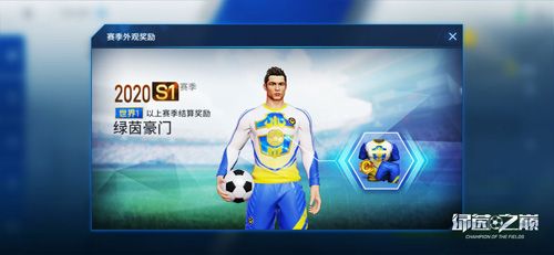 绿茵之巅6