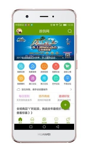 游鸽网3