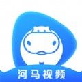 河马视频投屏版
