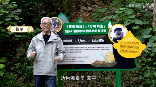 碧蓝航线11