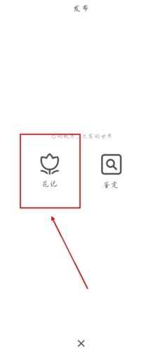 花伴侣app怎么发花记图片2