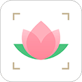 识花app