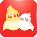 婚前婚后app