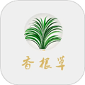 香根草官方版