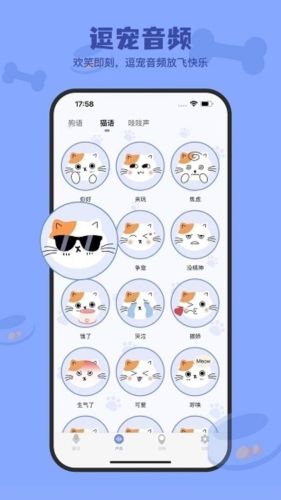 小白交流翻译app11