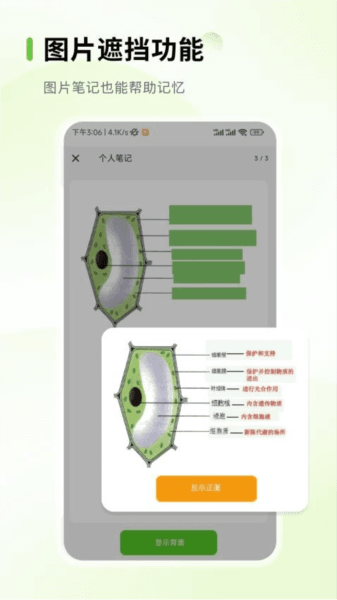 Anymo宣传图