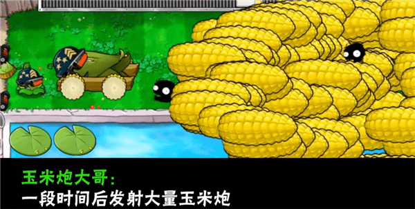 植物介绍配图25