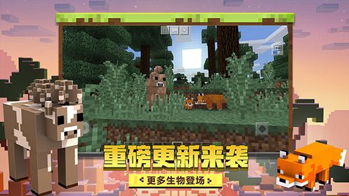 我的世界图片
