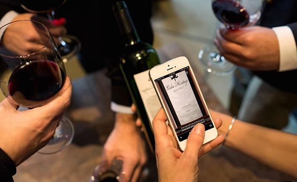 Vivino6