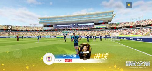 绿茵之巅5