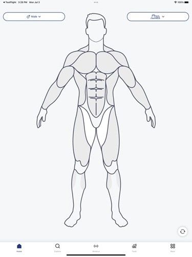 musclewiki官方版图片7