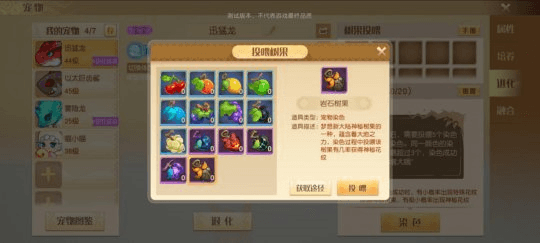 梦想新大陆24