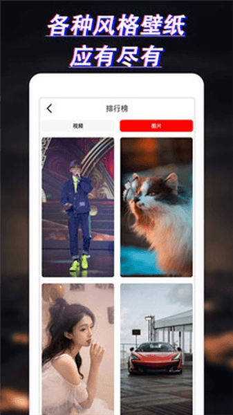 布丁壁纸大全最新版本宣传图
