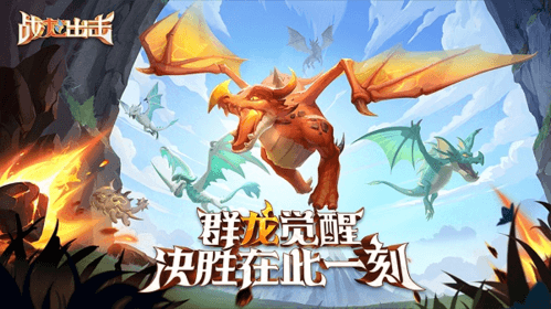 图1.jpg 战龙出击1