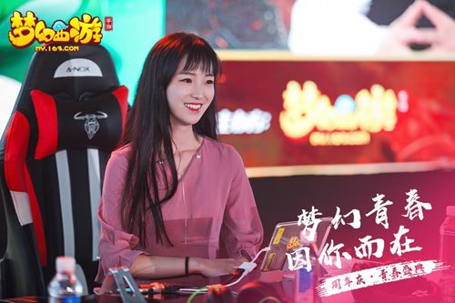 梦幻西游12