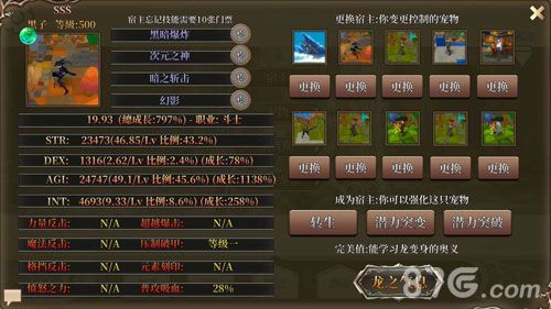 龙之气息什么宠物值得培养3