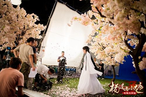 杨过与小龙女2
