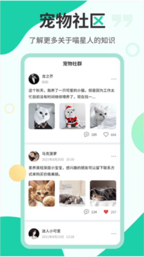 猫语翻译机免费版1