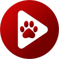 Bear Player播放器手机版