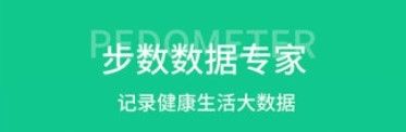 薄荷计步器2