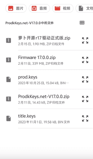 nyushu模拟器图片3