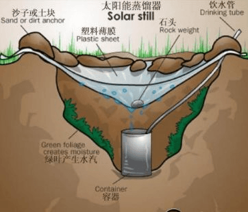 迷失蔚蓝百度版怎么找到干净水源3