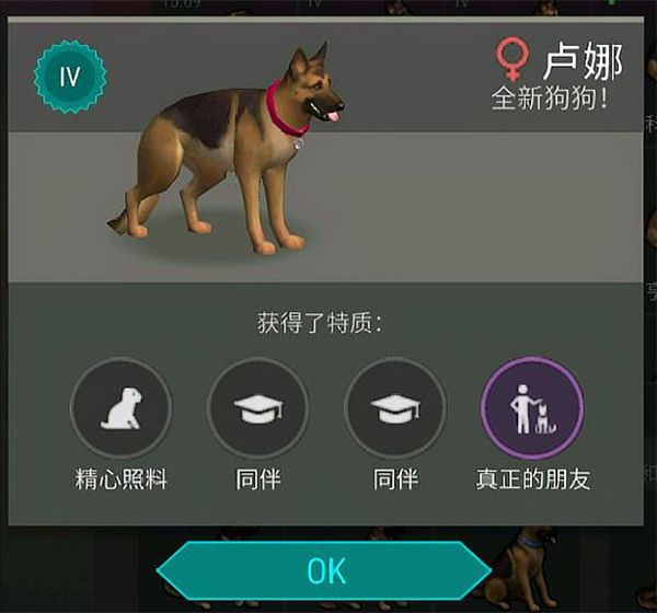 怎么带狗配图1