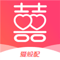 爱般配安卓版