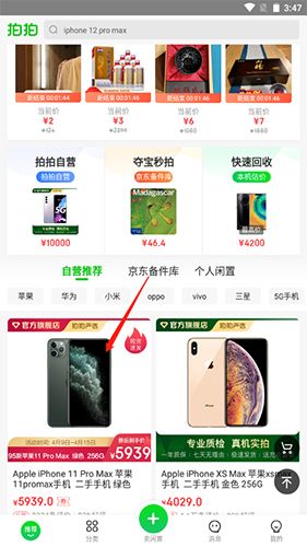 拍拍1