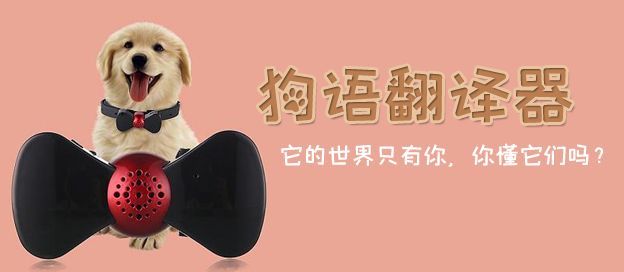 狗语翻译器app