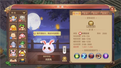 宠物推荐配图1