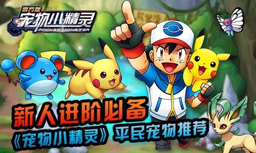 宠物小精灵宣传图