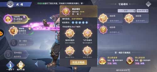 魂环选择推荐配图5