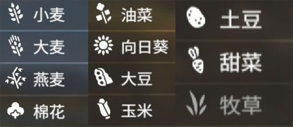 游戏攻略配图10
