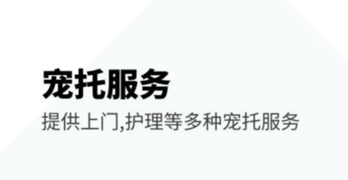 没有之一安卓版1