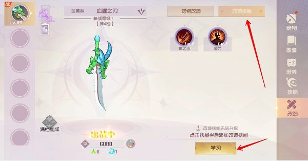 宠物玩法攻略配图12