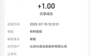 有柿app4