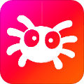 蜘蛛网旅行app