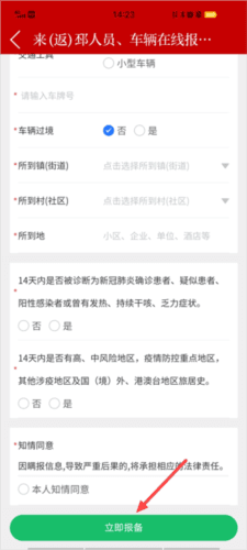 邳州银杏甲天下最新版本4