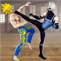 Karate King游戏下载_Karate King最新版下载 v2.9.8安卓版