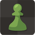 国际象棋大师下载最新版_国际象棋大师手机版下载 v4.9.45-googleplay安卓版