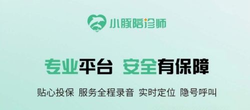 小豚陪诊师最新版11