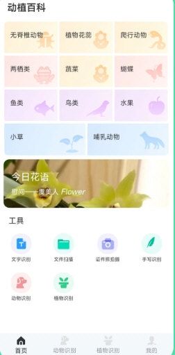 动物百科7