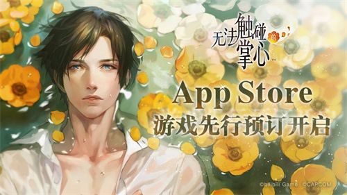 无法触碰的掌心3