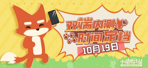 小动物之星