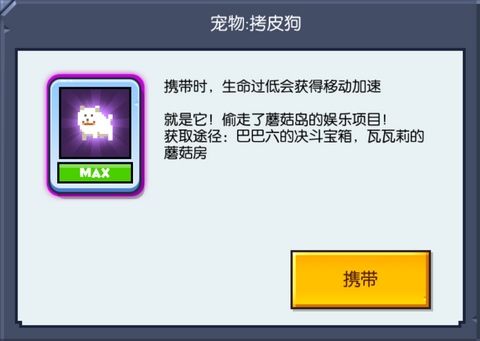 宠物介绍配图1