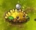 部分植物图鉴配图6