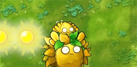 究极植物配图2