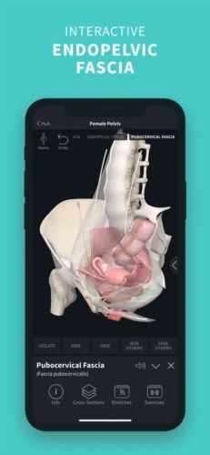 completeanatomy中文版宣传图