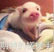 天堂2:血盟6